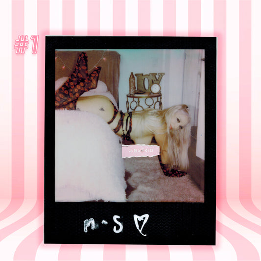 A Polaroid-style photo print with a black border showing a beige long-haired dog wearing patterned harness and boots in a bedroom, with pink striped background and the text '#1' and 'n.s' on the print.